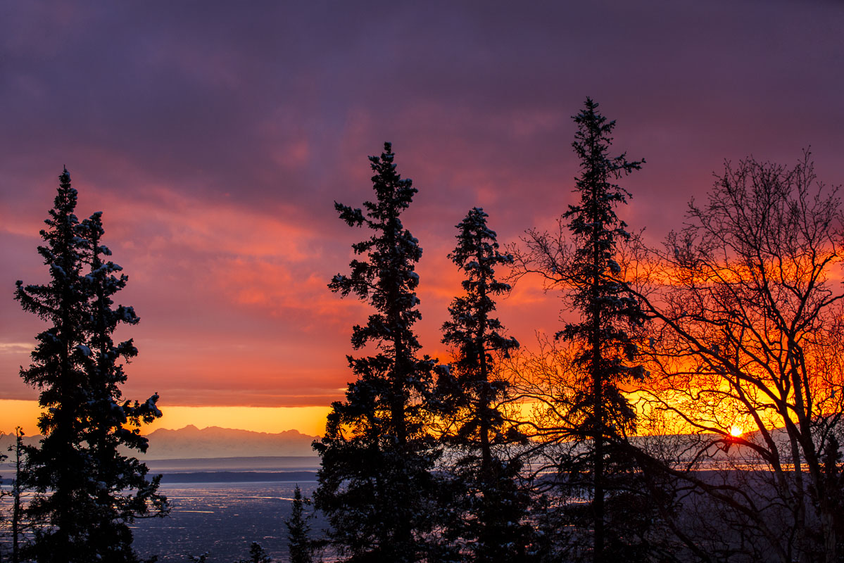 Sunset view from the Anchorage hillside.