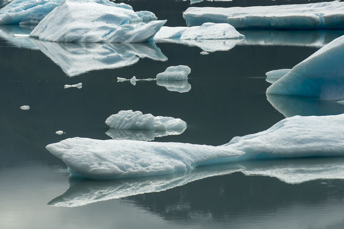 Icebergs on Lake George, calved from the nearby Colony Glacier in the Chugach Mountains, Alaska.