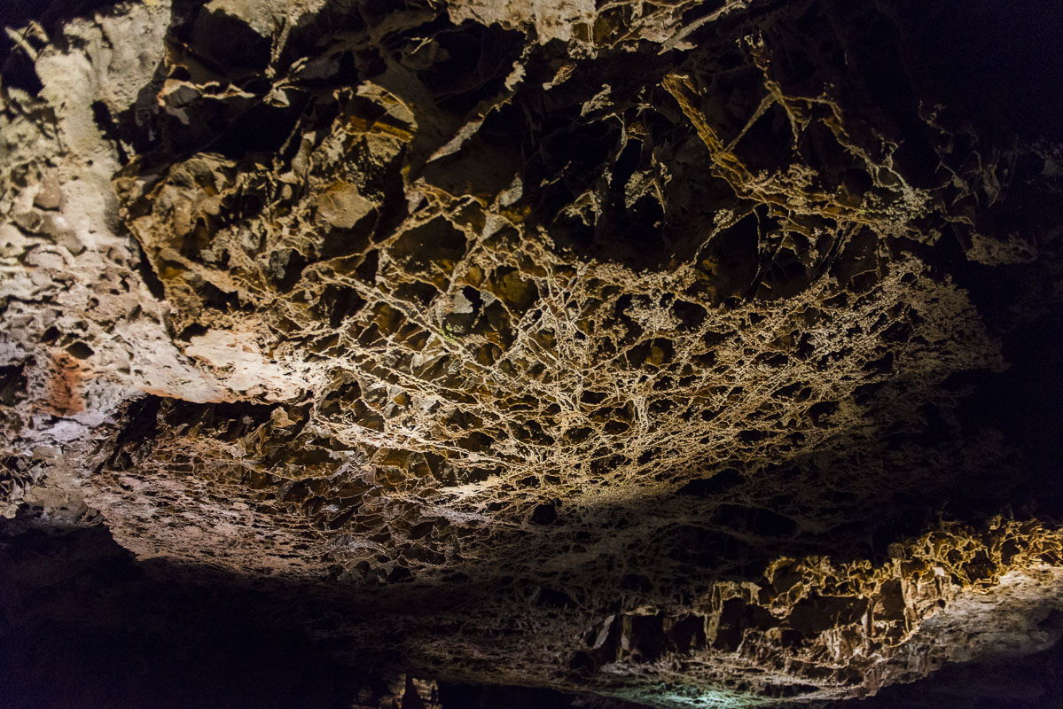The classic honeycomb patterns of boxwork, a thin calcite formation, are prevalent in the ceilings at Wind Cave National Park...