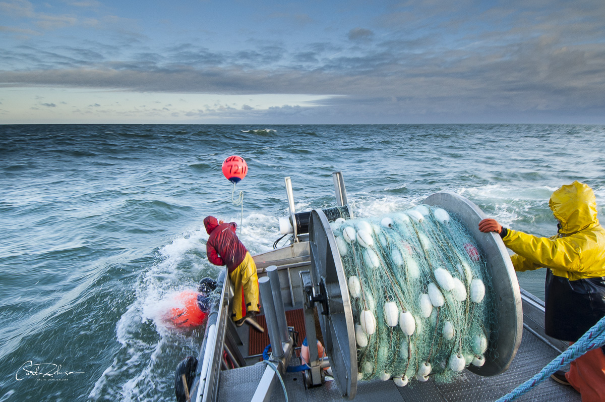 Commercial fishing crew