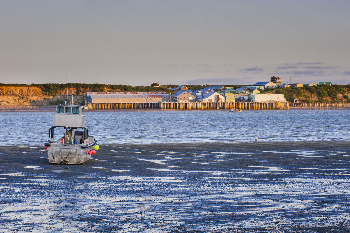 A drift net boat rests on the mudflats of the Naknek River while waiting for the incoming tide. On the other side of the river...