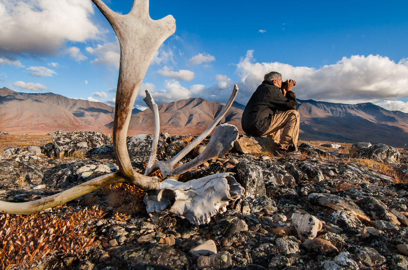 Nunamiut elder Raymond Paneak searches for caribou in the John River valley, Gates of the Arctic