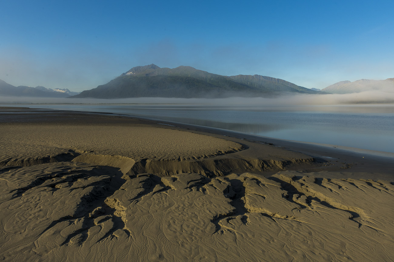 As fog shrouds the surface of the Turnagain Arm, the intricate patterns in the mudflats along the shore are exposed to provide...