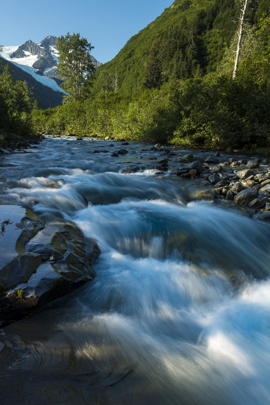 Shafts of light strike the rushing waters of Byron Creek, with it's namesake glacier in the background on a summer morning.