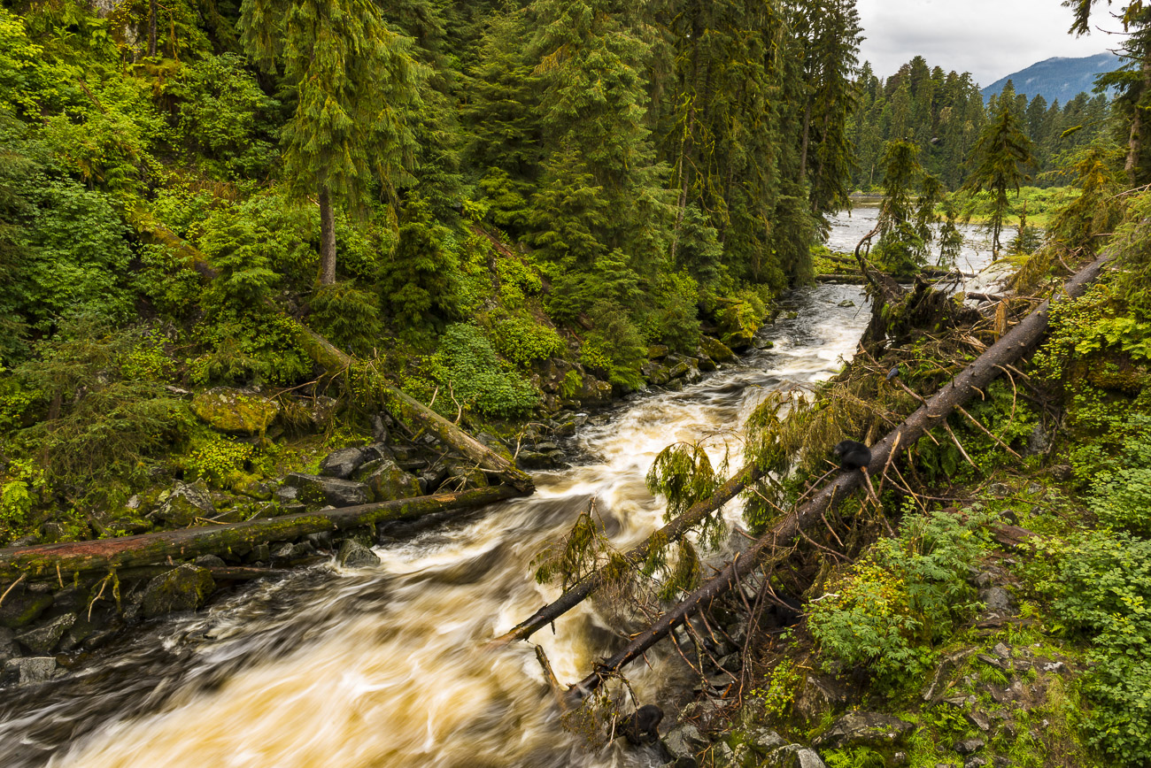 Anan Creek flows out toward a lagoon and cove in coastal Tongass National Forest in Southeast Alaska.