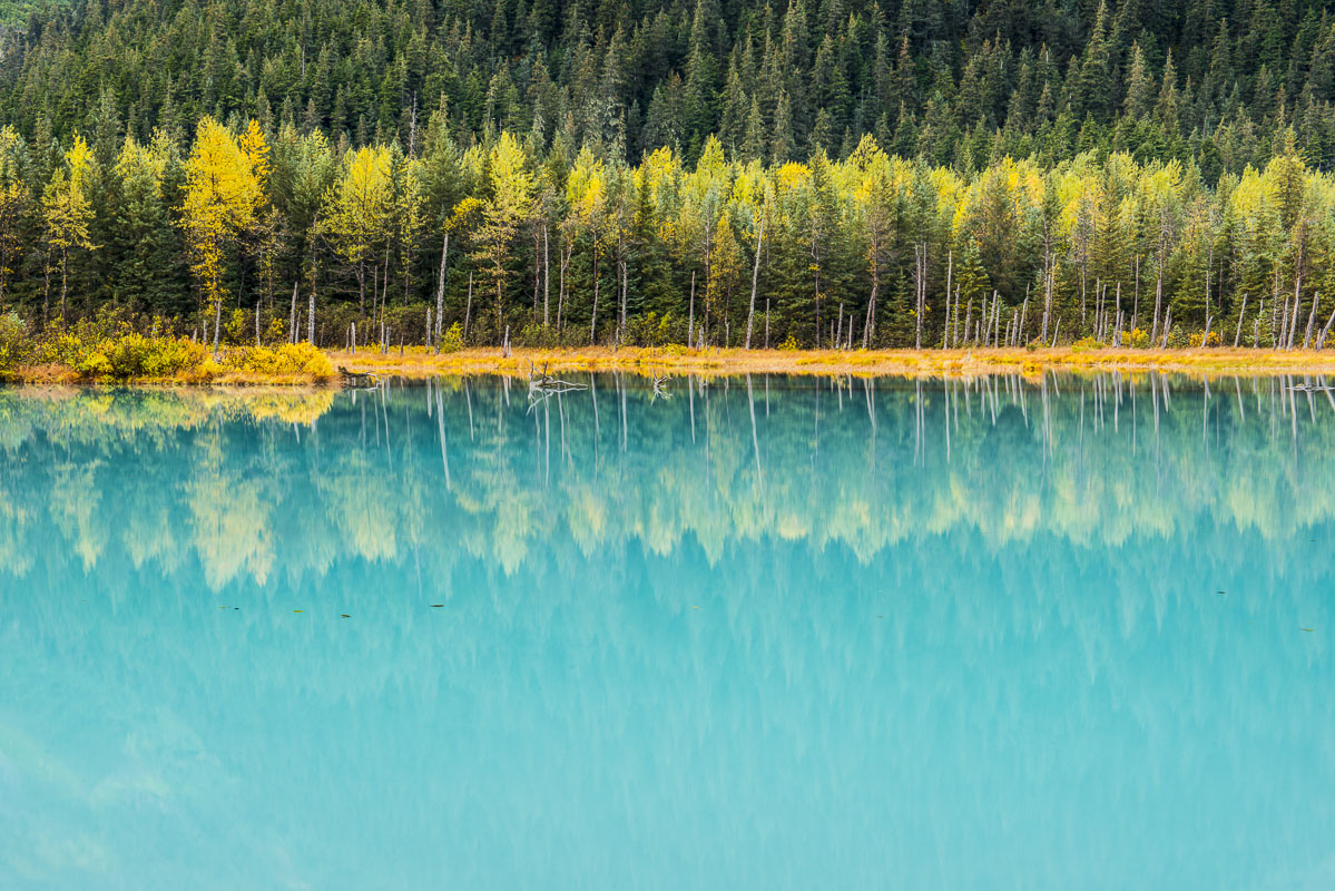 There is a lake in Portage Valley that collects silt from the nearby glacier that feeds it. Throughout the year, it is a favorite...