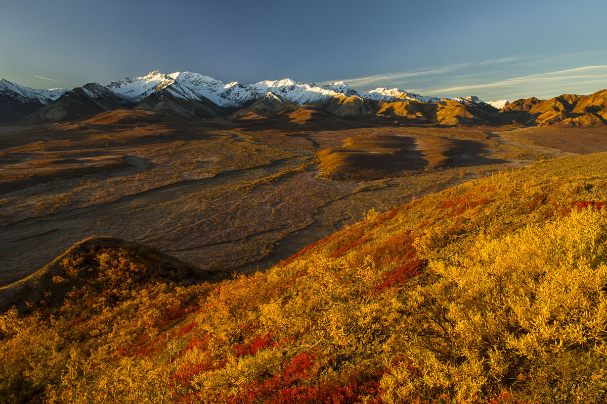 Peak autumn colors at Polychrome Pass in Denali National Park & Preserve.