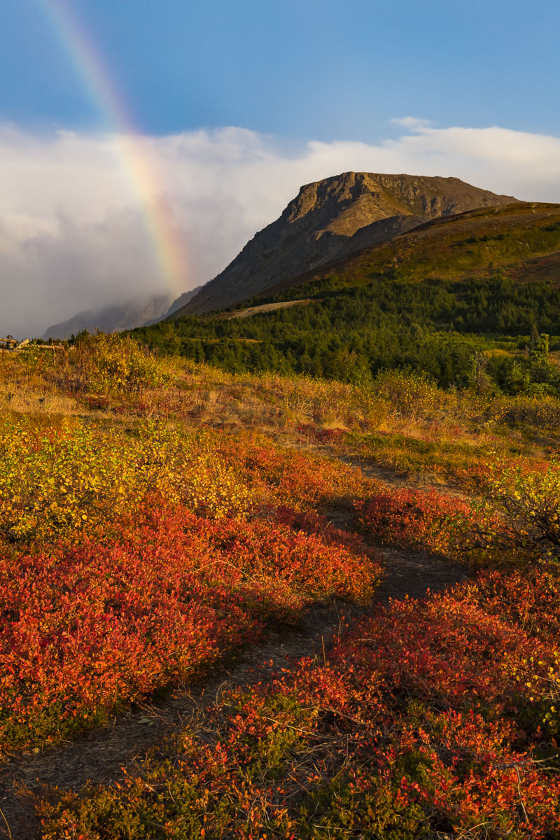 Rainbow and Alpine
