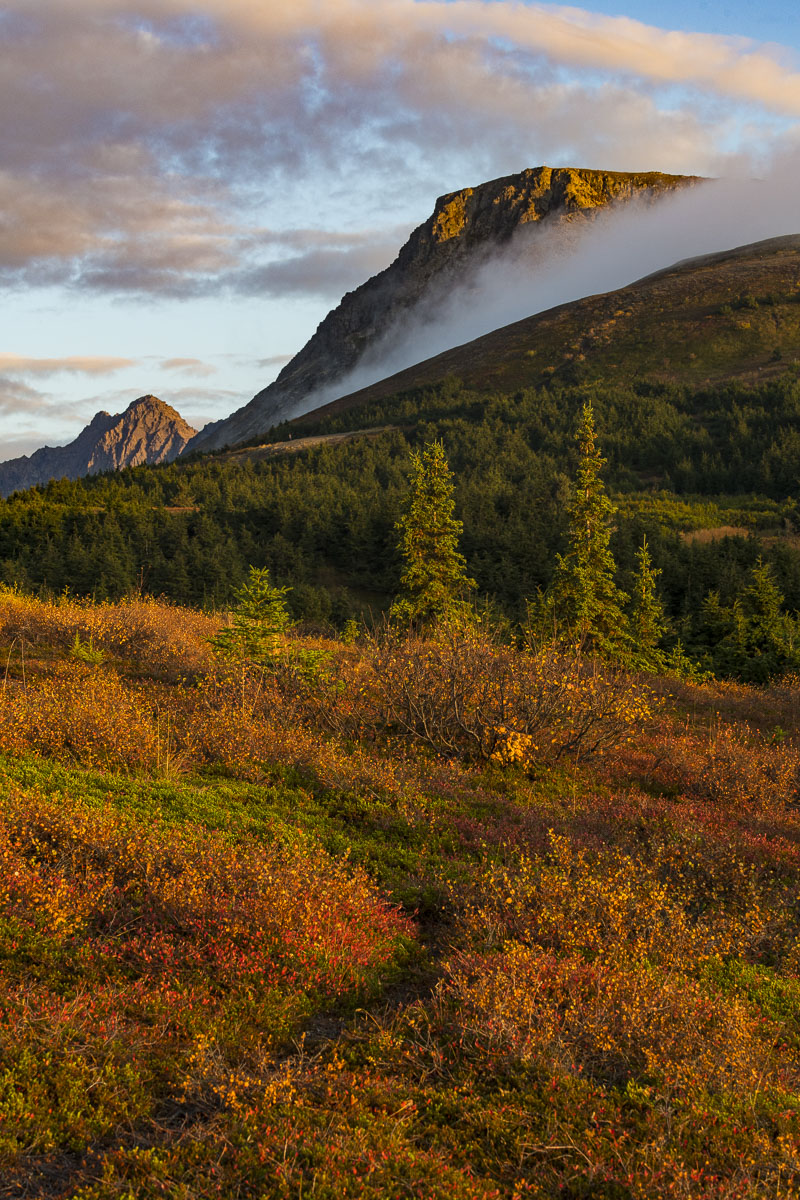 The alpine zone starts to take on fall colors as Flattop Mountain in the distance catches a little evening fog.