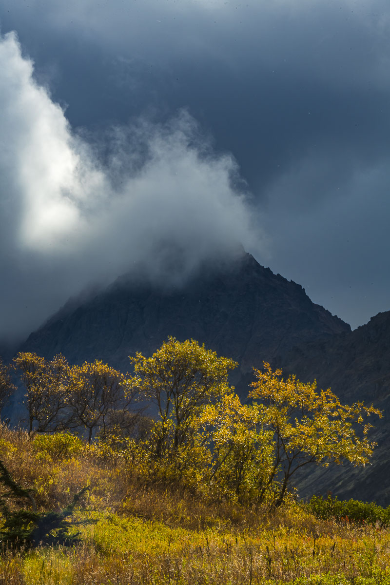 A shaft of sunlight cuts through dark clouds to light up fall colors in Chugach State Park.