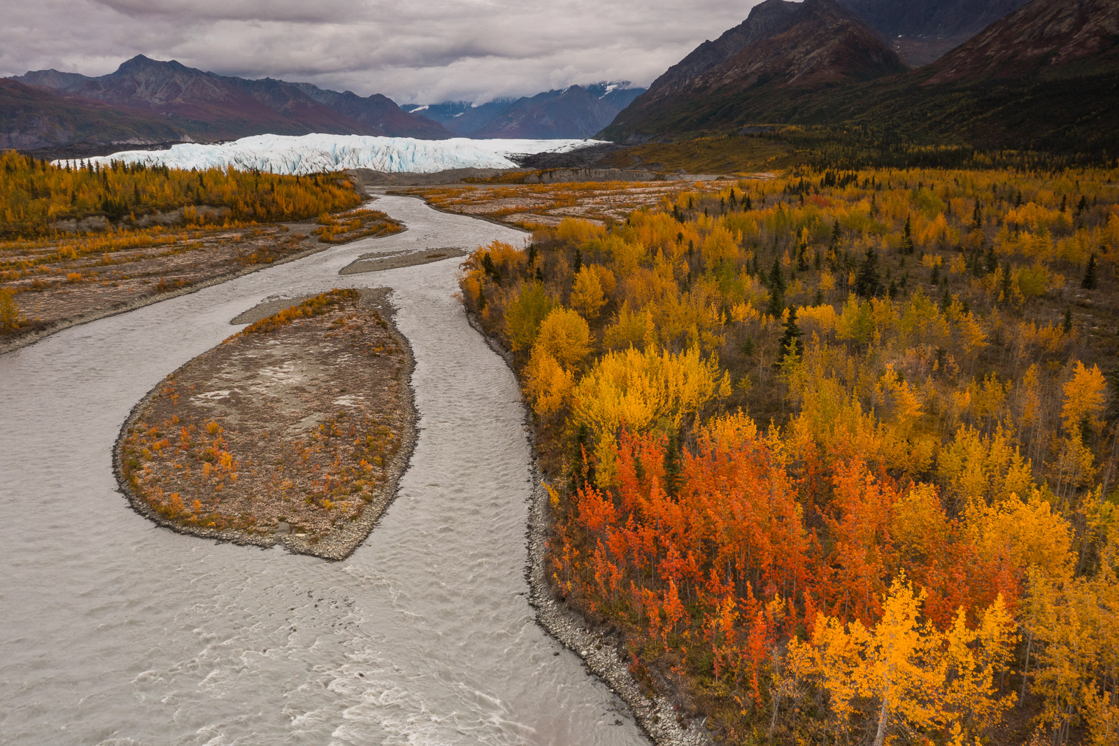 An unusual patch of red colors in a grove of aspens adds a pop of color to the autumn along the Matanuska River downstream of...