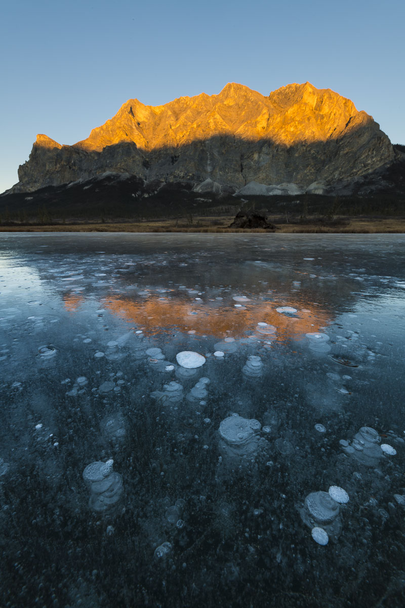 Methane bubbles are trapped in ice in a pond with Mt. Sukakpak in the background. Even in early October, this region of the central...
