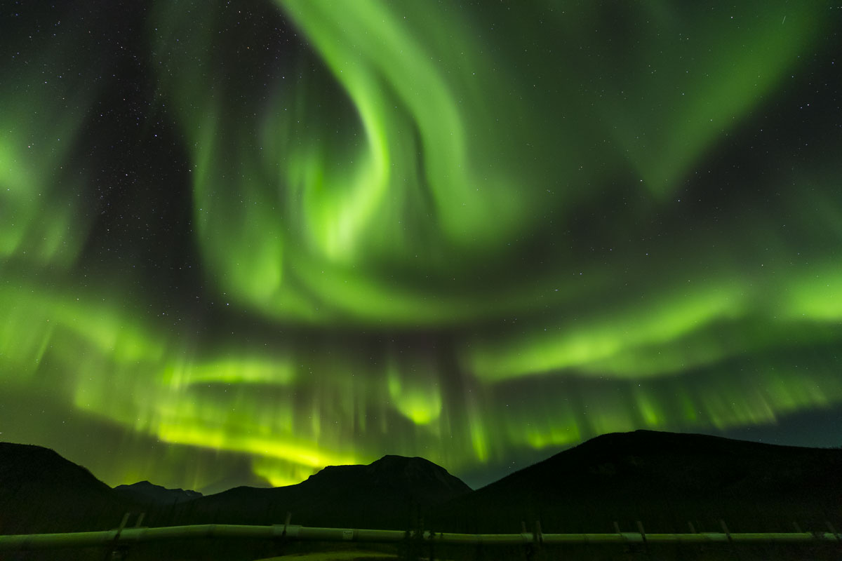 The aurora borealis dances and fills the sky over the Trans-Alaska Pipeline in the Brooks Range in the Arctic of Alaska.