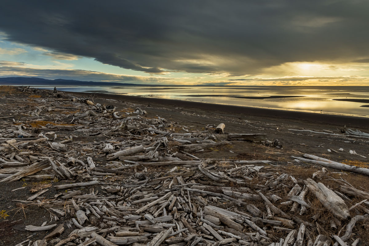 Driftwood covers the Bering Sea coastline at the village of Unalakleet, considered the boundary between Yup'ik and Inupiat territory...