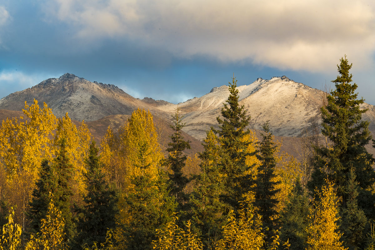 A fresh dusting of snow rests on a ridge in the Chugach Mountains behind Anchorage as fall colors take hold in the trees.