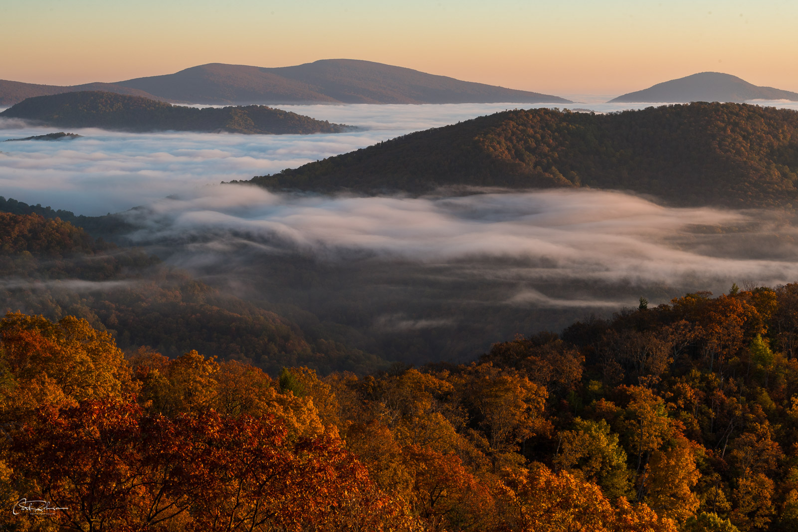 Autumn Fog