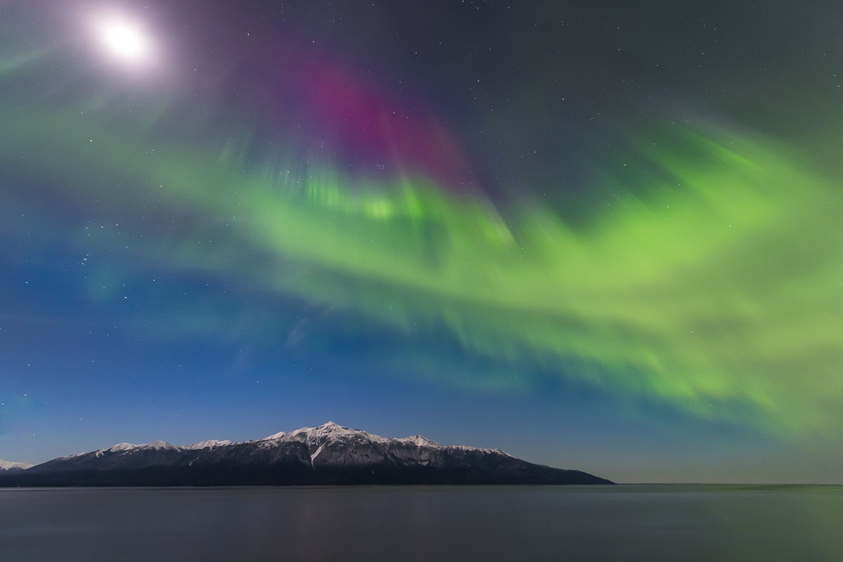 The Kenai Mountains seem small under a sky-fillling aurora borealis in early November. A bright moon cannot overpower the strenght...