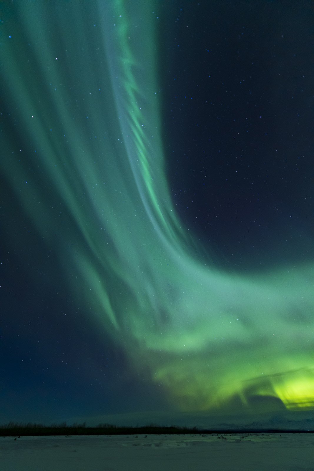 Once in a while, an aurora borealis display gets so tall that you need to fill most of the frame with it. I always want to have...