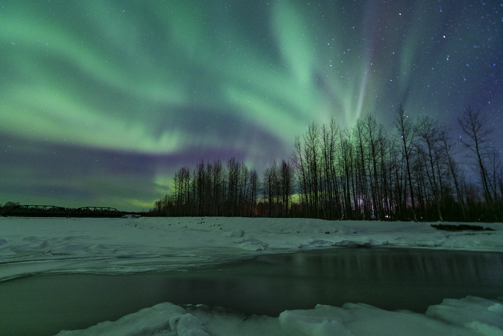 While out photographing the aurora borealis on the frozen Susitna River near Talkeetna, I found a patch of open water. I photographed...