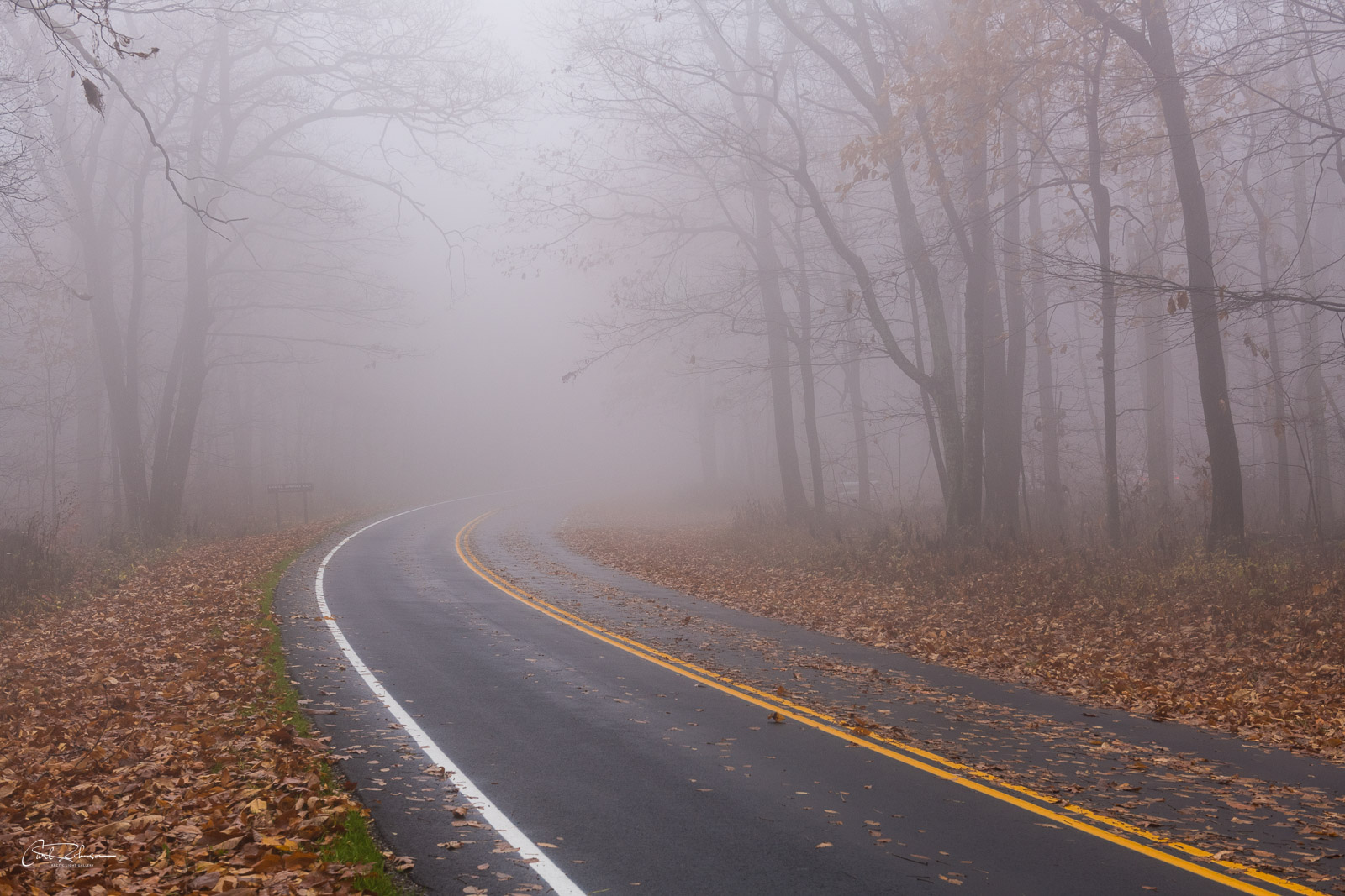 On a particularly foggy morning in Shenandoah National Park, I stopped on my drive to capture the curve of the road seemingly...