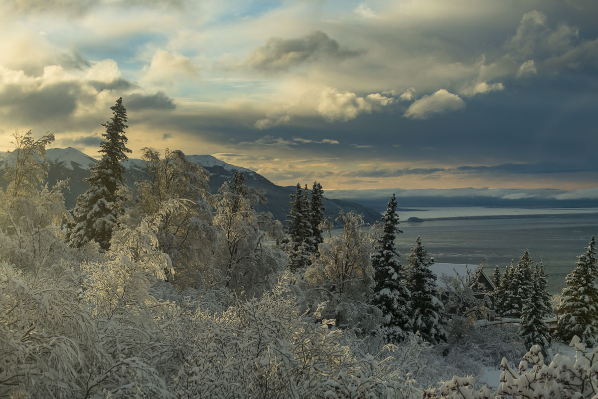 Morning light shines across textured clouds and frosty trees on the Anchorage hillside in early winter.