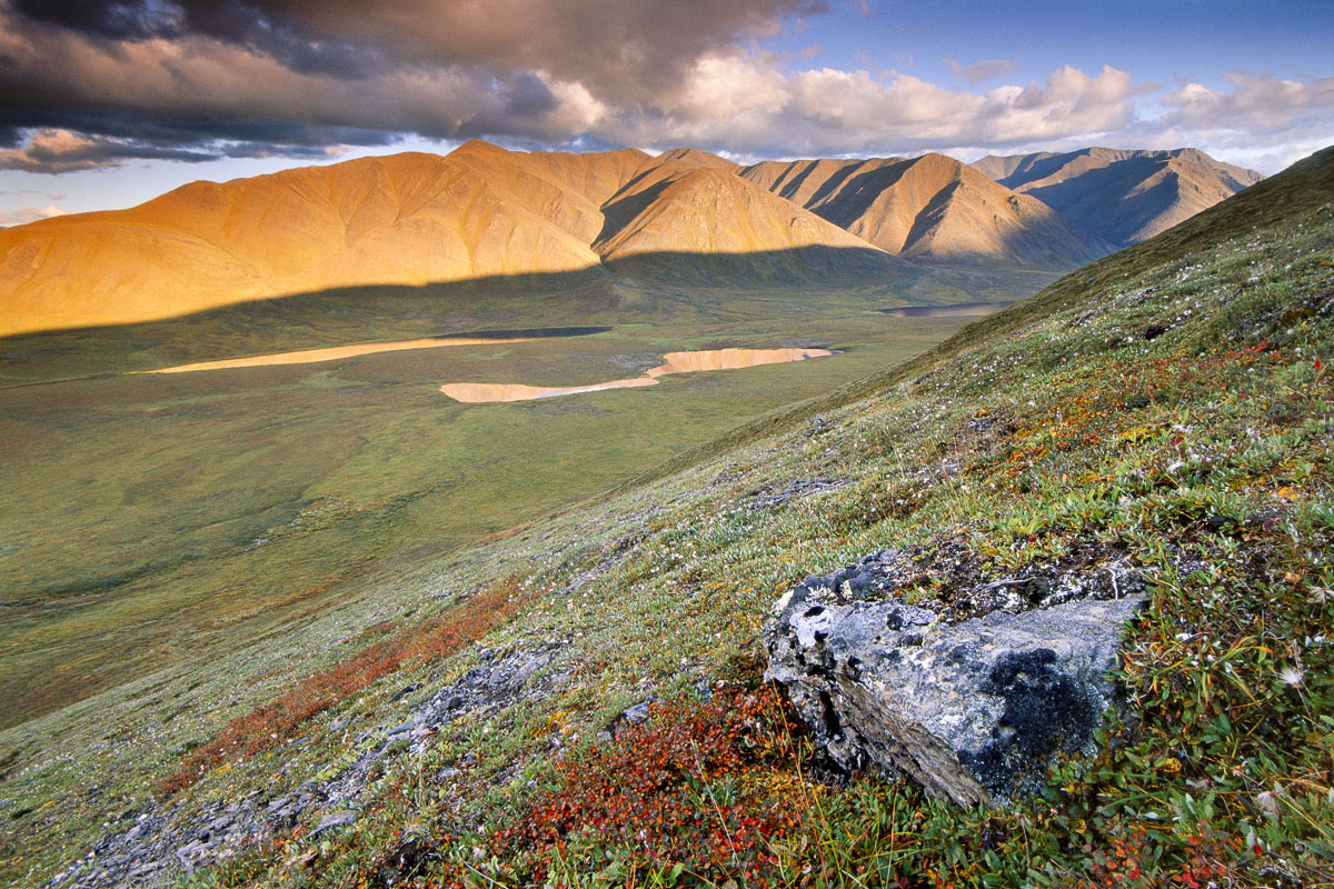 Rock and alpine tundra in the autumn near the headwaters for the Alatna River in Gates of the Arctic National Park & Preserve...